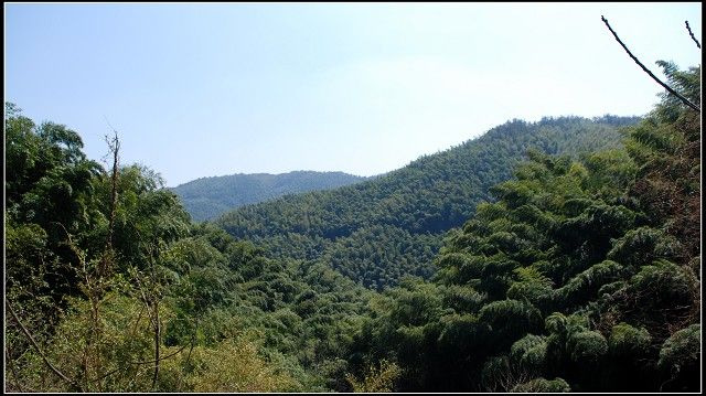 奉化大雷山