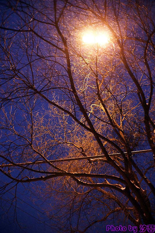 新年雪夜