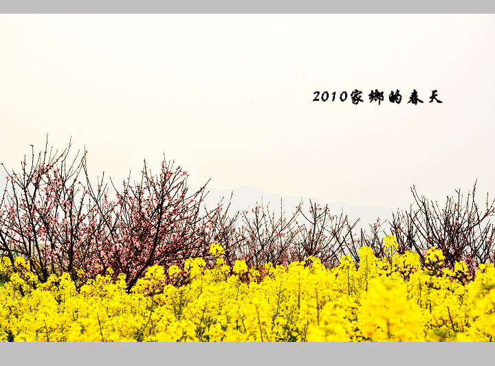 2010家乡的春天