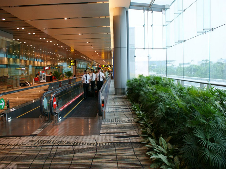 【美丽的新加坡机场摄影图片】新加坡风光旅游