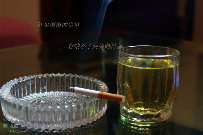 寂寞夜酒吧