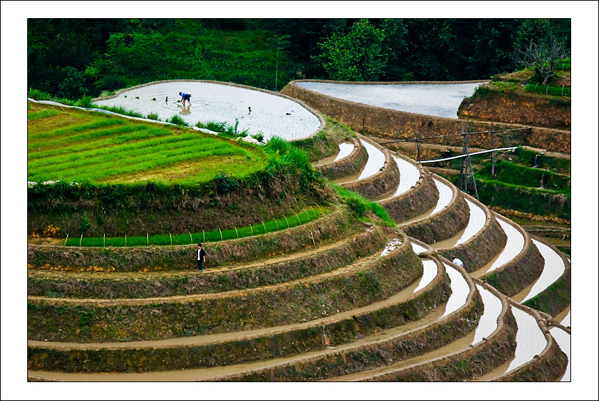 龙胜梯田
