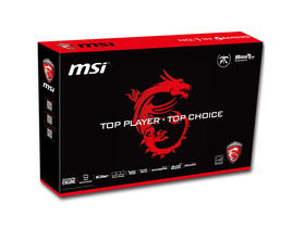 msi΢GE63VR 7RE-062CN