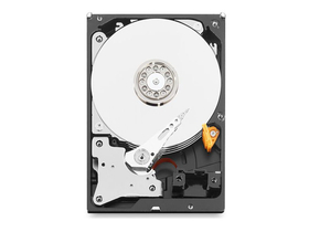 ݺ 10TB 256M SATA Ӳ(WD100EFAX)