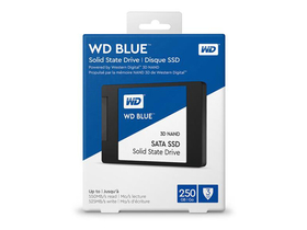  WDS250G2B0A