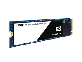  WDS256G1X0C-00ENX0