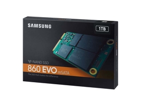 860 EVO 1T mSATA SSD