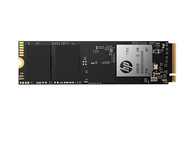 EX920 256GB M.2 SSD