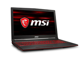 msi΢GL63 8SE-065CN(i5-8300H/8GB/128GB+1TB/RTX2060)