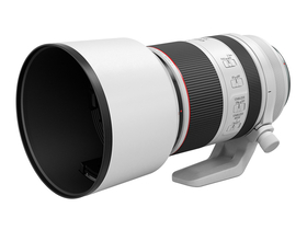 RF 70-200mm F2.8 L IS USM