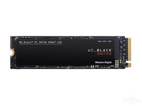 Black SN750 500GB NVMe M.2 SSD