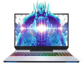 еʦF117-V(i7-9750H/16GB/1TB+1TB/GTX1650)ǰ