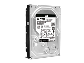 ݺ 6TB 256M SATA Ӳ(WD6003FZBX)