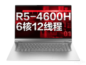 еCode01(R5-4600H/8GB/512GB)