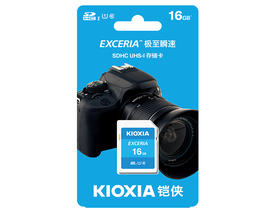 ԭ֥洢16GB SD洢 Exceria