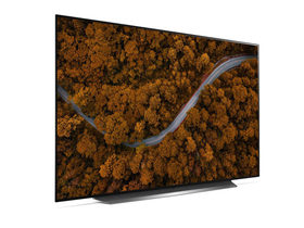 LG OLED55CXPCA