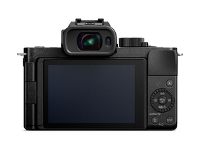 LUMIX G100