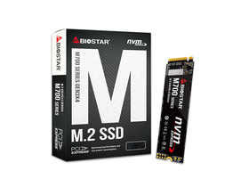 ӳ̩M700 256GB M.2 SSD