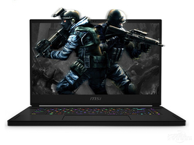 msi΢ǾӰ2 GS66(i9-10980HK/64GB/2TB/RTX2080/300Hz)