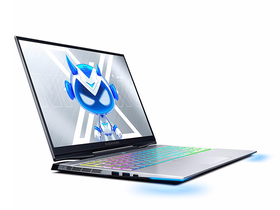 еʦսF117-X(i7-10875H/16GB/512GB+1TB/RTX2070)