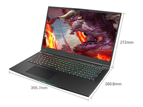 е̩̹X10Ti-S(i7-10875H/16GB/512GB/RTX2070S)