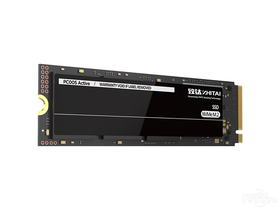 PC005 Active 1TB M.2 SSD