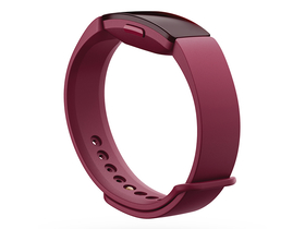 Fitbit Inspire