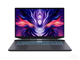 еPLUS(i7-10875H/32GB/1TB/RTX3070)