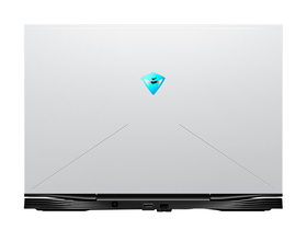 еʦսF117-X(i7-10870H/16GB/1TB/RTX3070/240Hz)