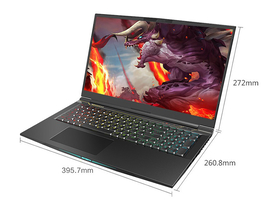 е̩̹X10 PRO(i7-10875H/16GB/512GB+2TB/RTX3070)