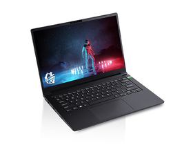 VAIO14 Pro(i7-11370H/16GB/512GB/GTX1650Ti)