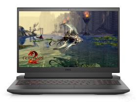 ϻG15 5510-R2646B(i5-10200H/16GB/512GB/RTX3050Ti/165Hz)