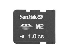 SanDisk MS Micro(M2/1G)