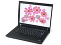 ThinkPad R61i 76509TC