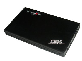 IBM BLUEGHOST ȶ 250G