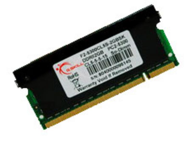 芝奇DDR2 667 2G(F2-5300CL5S-2GBSK) 图片