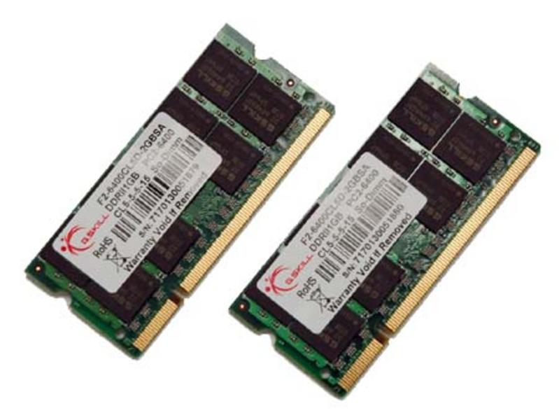 芝奇DDR2 800 1G(F2-6400CL5S-1GBSA) 图片