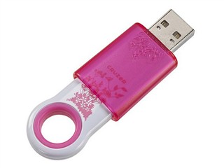 SanDisk  Fleur 4Gͼ