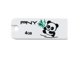 PNY Panda2 4G