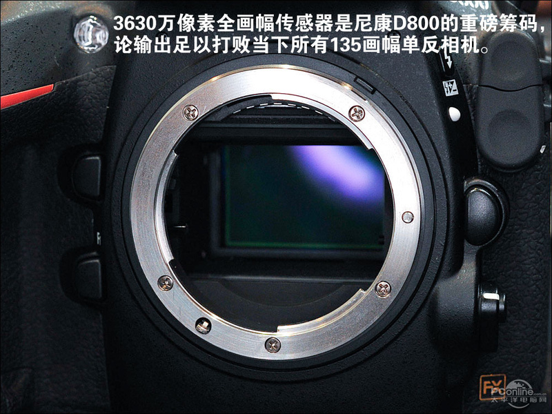 ῵D800ͼ