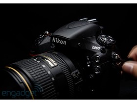 ῵D800