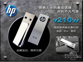 HP V210W 8GB