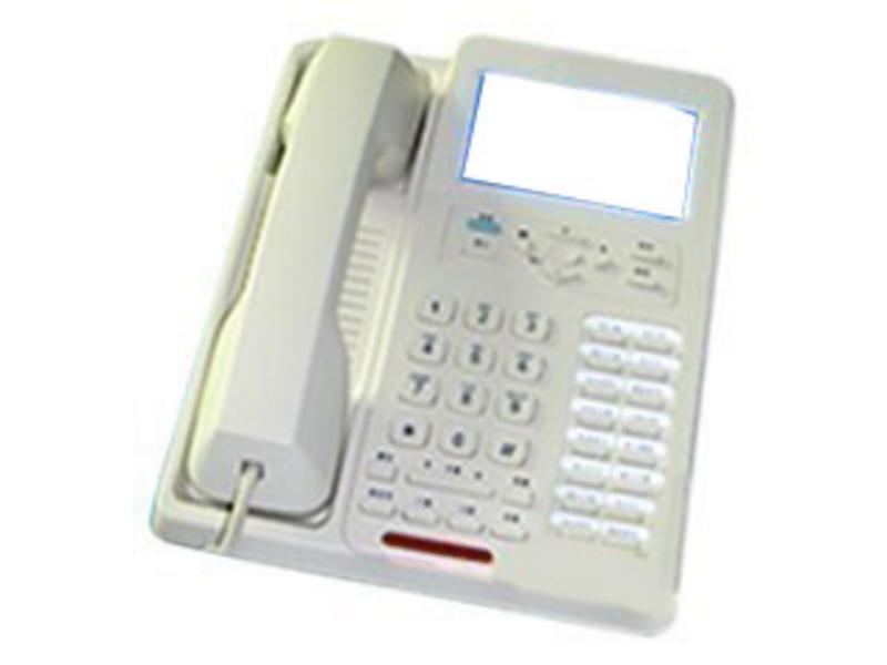 三星300小时数码录音电话机(SJ300TSD) 图片