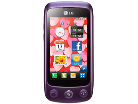 LG GS500v
