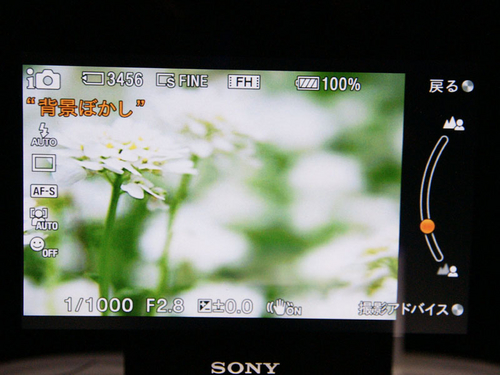 索尼NEX5C定焦套机(16mm)