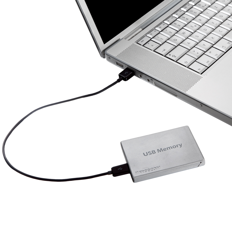 FREECOM USB MEMORY (120G)ͼ