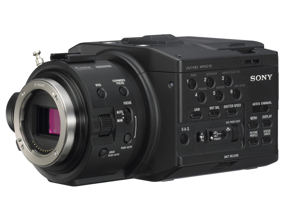 sony nex fs100