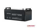 安全方便 力波特12V-100AH蓄电池报810元
