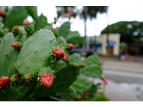 ʿXF14mm F2.8R