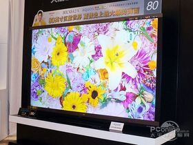 LCD-80LX842A